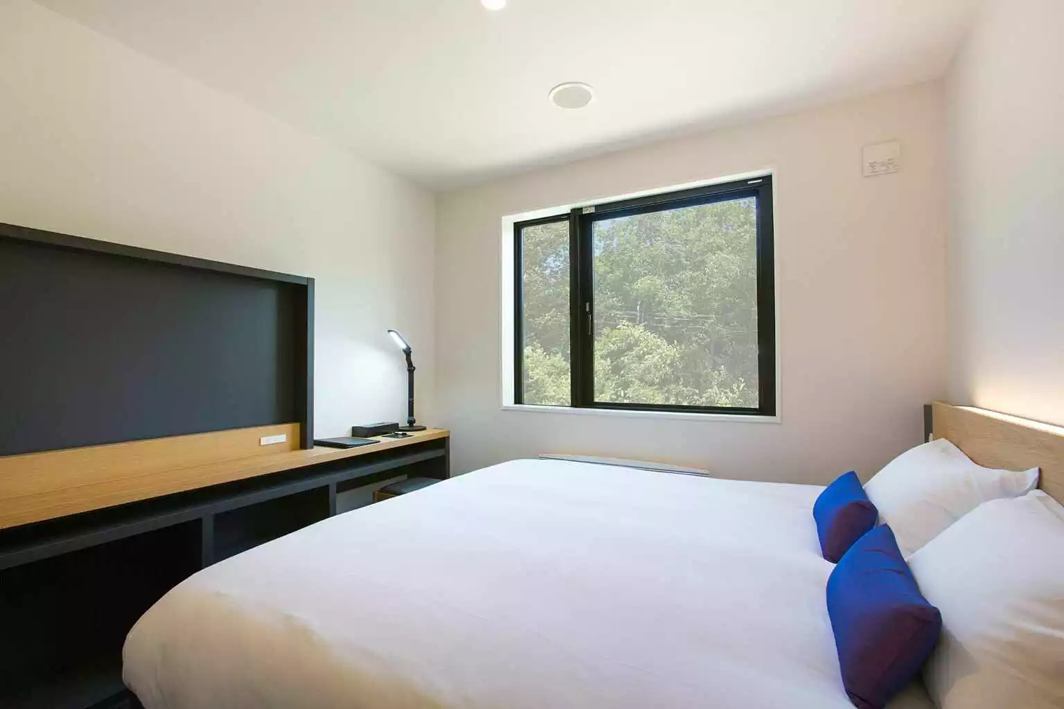 AW 08 Deluxe Niseko Room