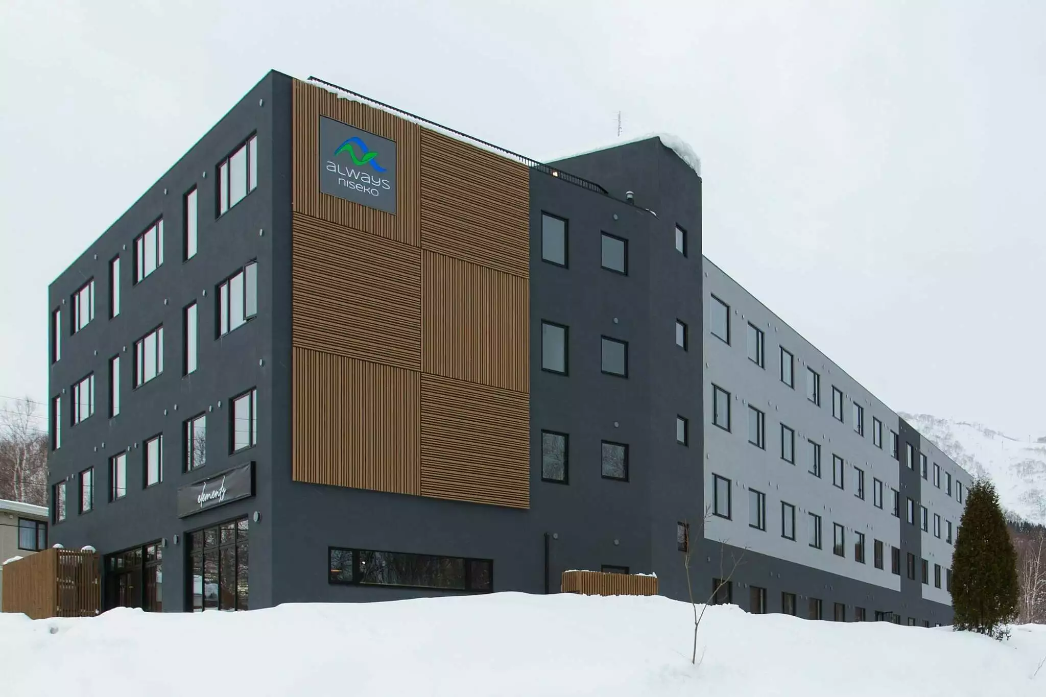 Always Niseko - 图 4