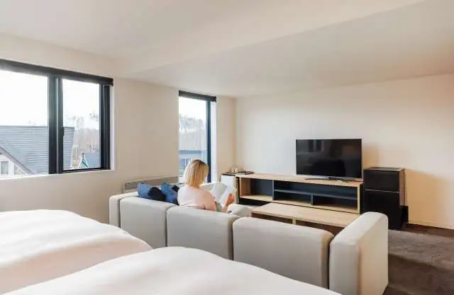 Always niseko sofa living