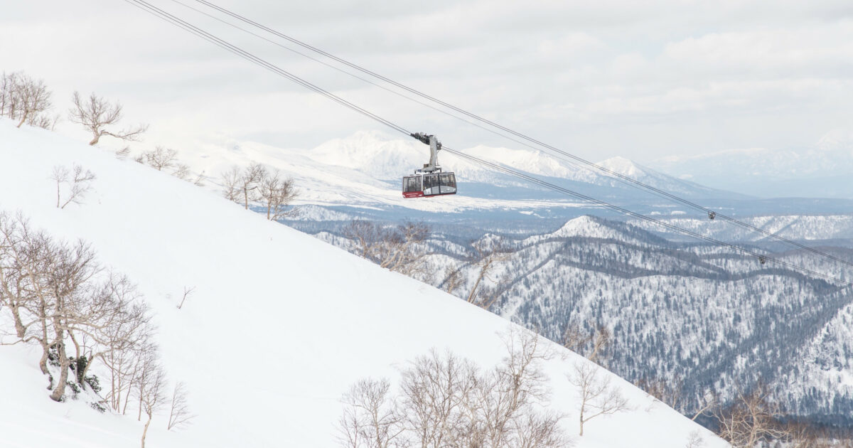 Furano-Influencer-Evan-Wilcox-
