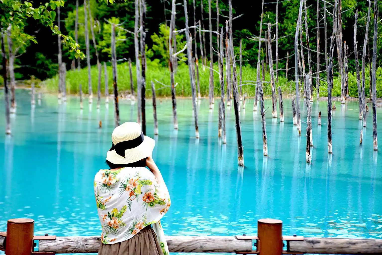 Furano By NISADE View 1