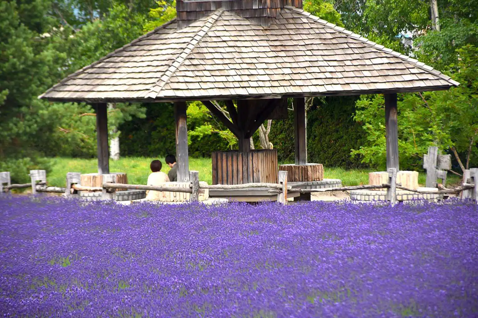 Furano By NISADE View 8