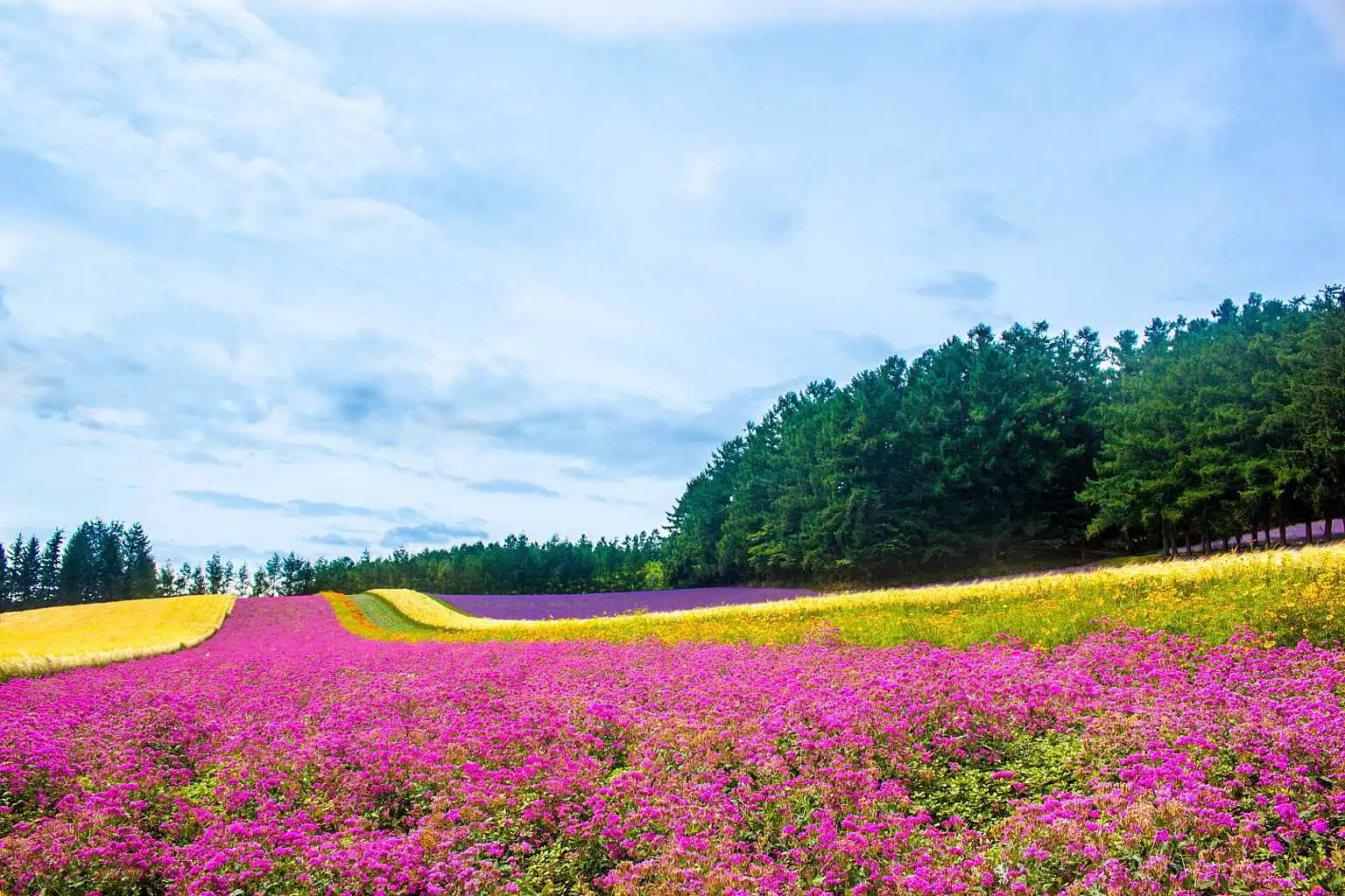 Furano By NISADE View 16