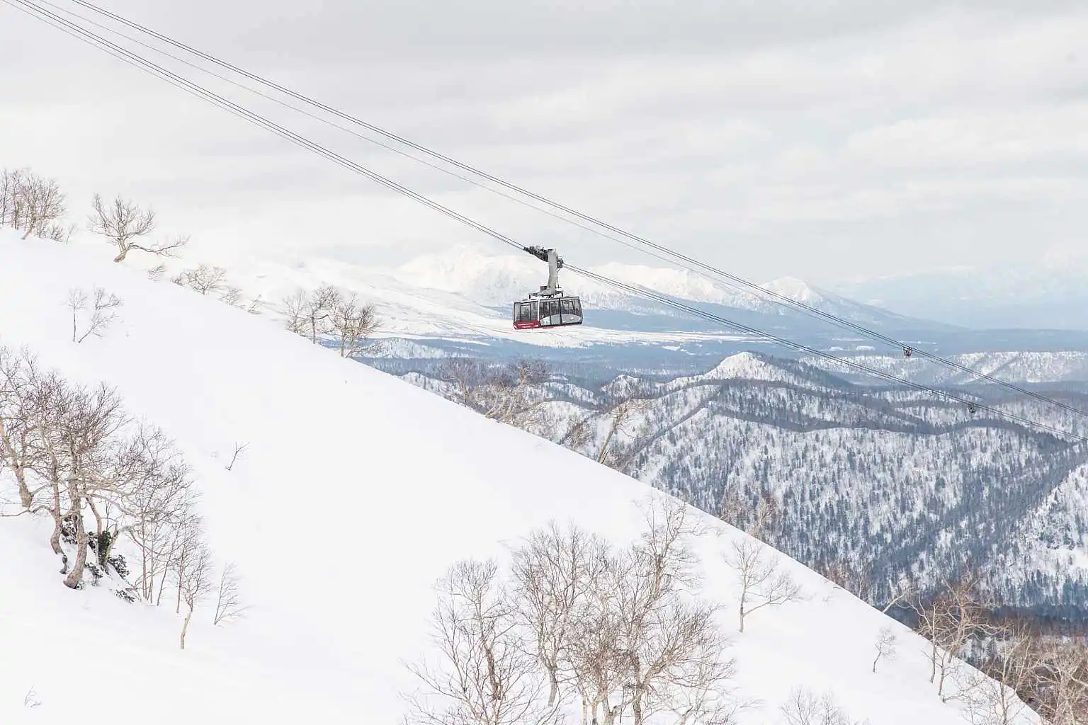 Furano Influencer Evan Wilcox Ski Snowboard 3