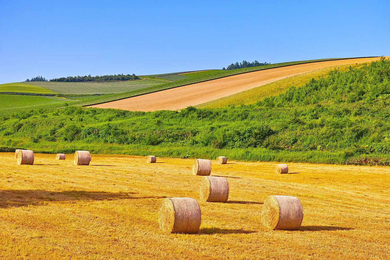 Furano Shutter Stock View 8