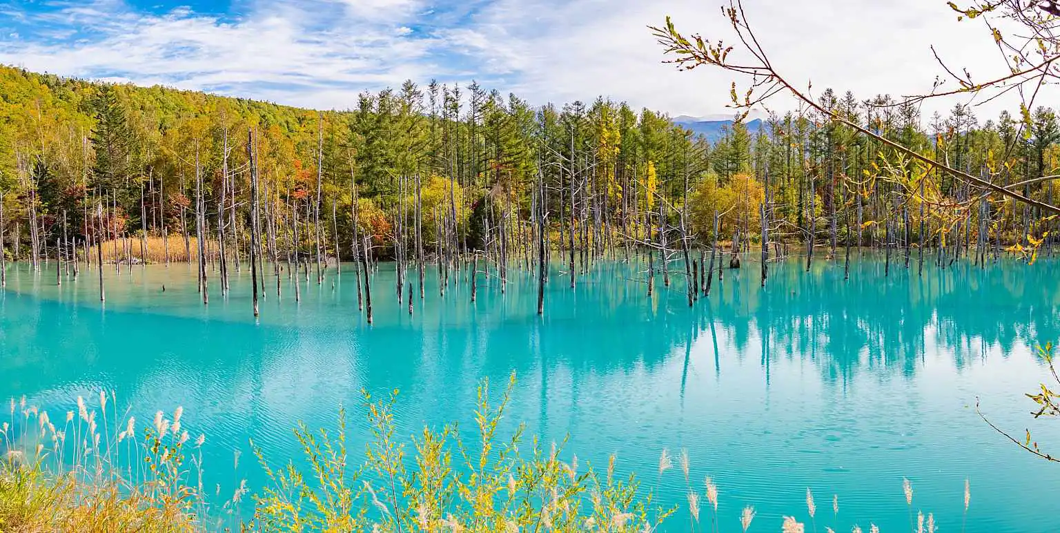 Furano Shutter Stock View 5