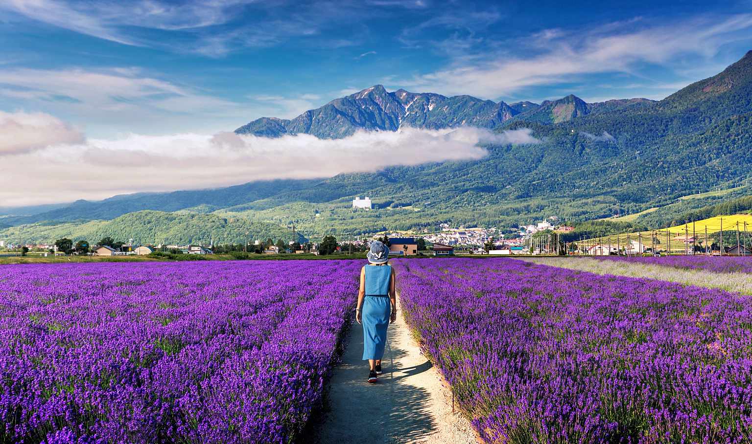 Furano Shutter Stock View 1