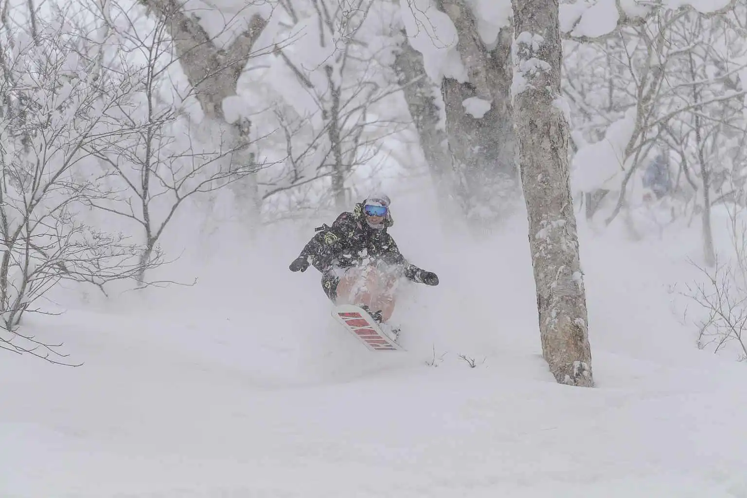 Niseko Influencer Torah Bright Ski Snowboard 3