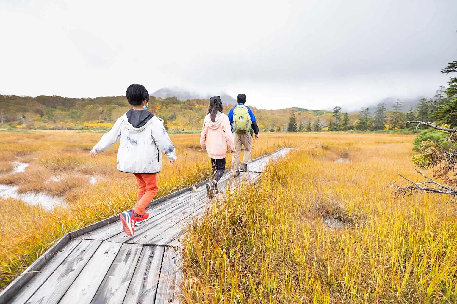 Niseko Influencer Sayaka Other Activities 3