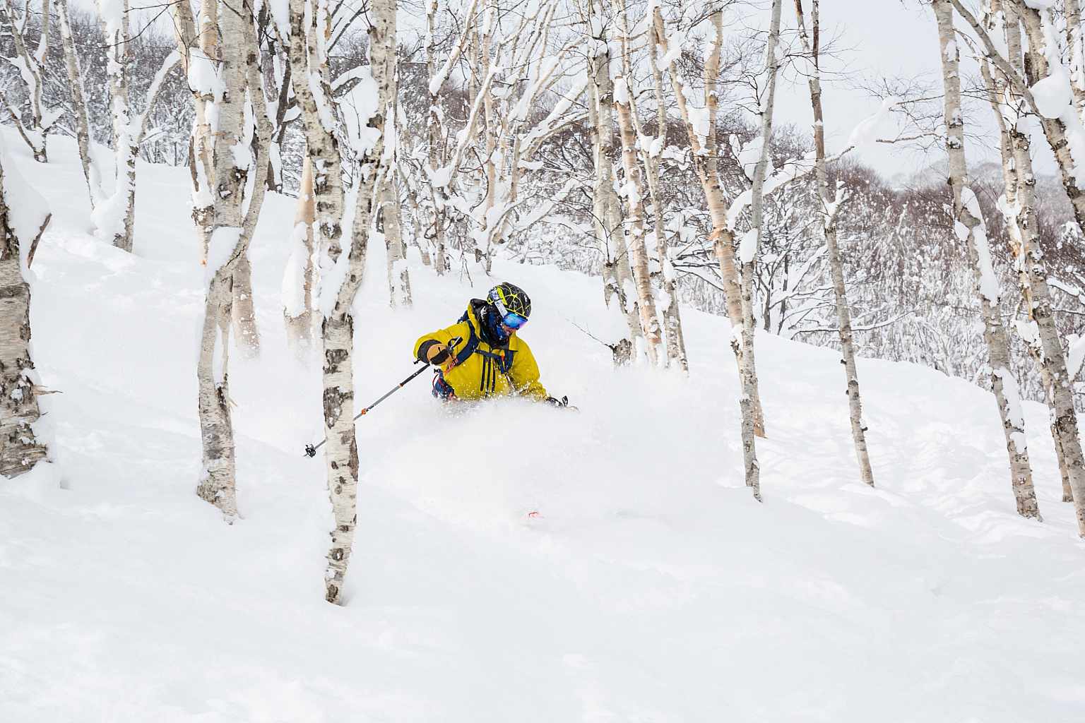 Niseko Shutter Stock Ski Snowboard 1
