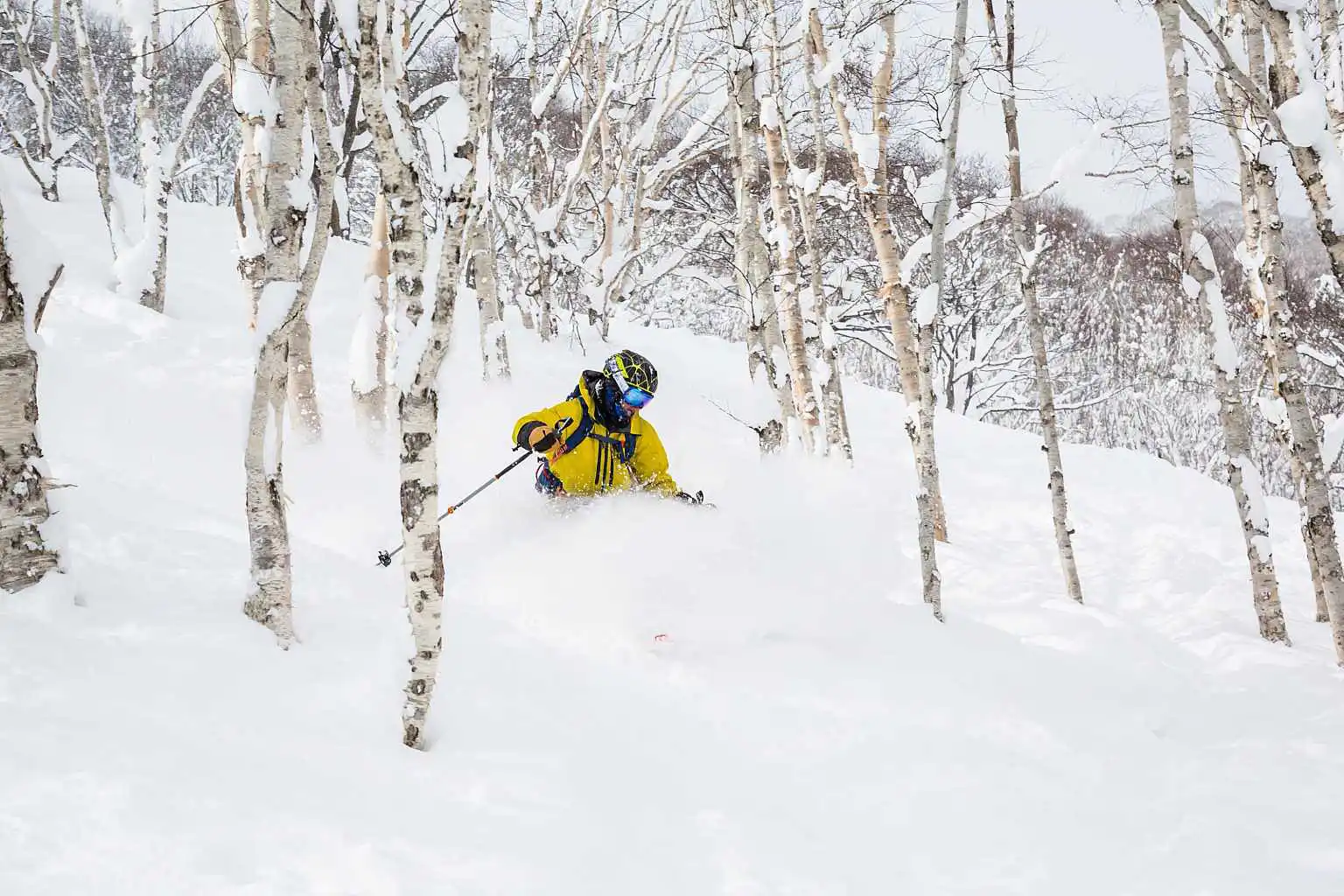 Niseko Shutter Stock Ski Snowboard 1