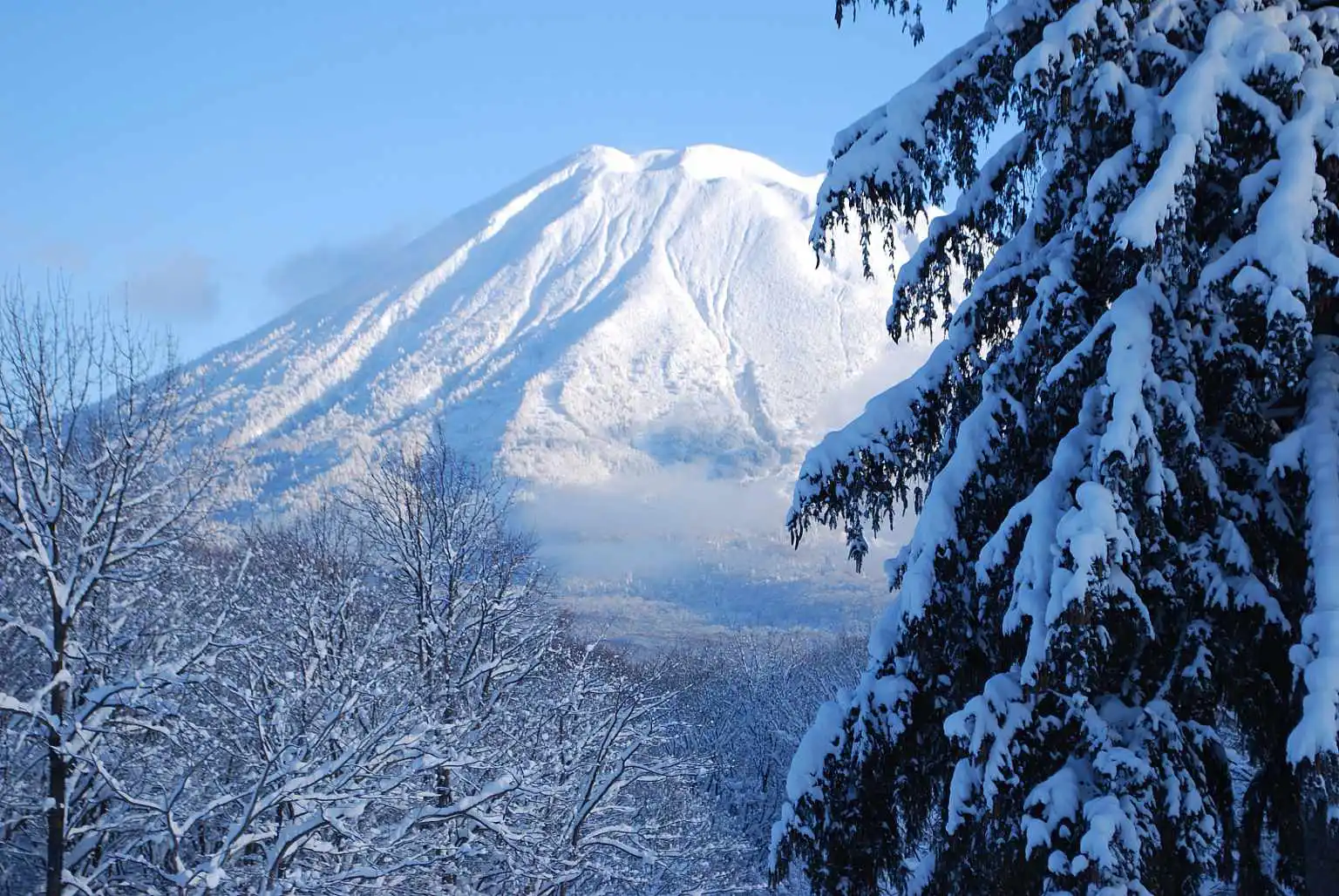 Niseko By NISADE View 13