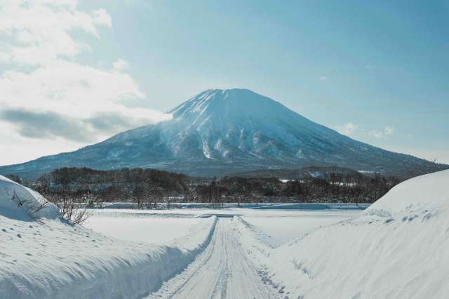 Yotei Farmland 25