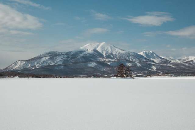 Yotei Farmland 17