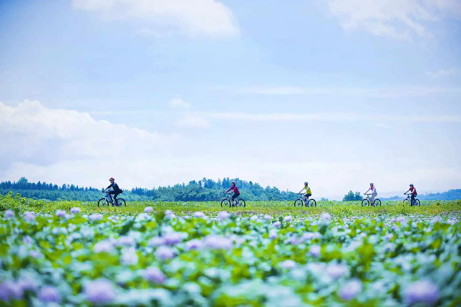 Rusutsu By Rusutsu Resort Other Activities 26