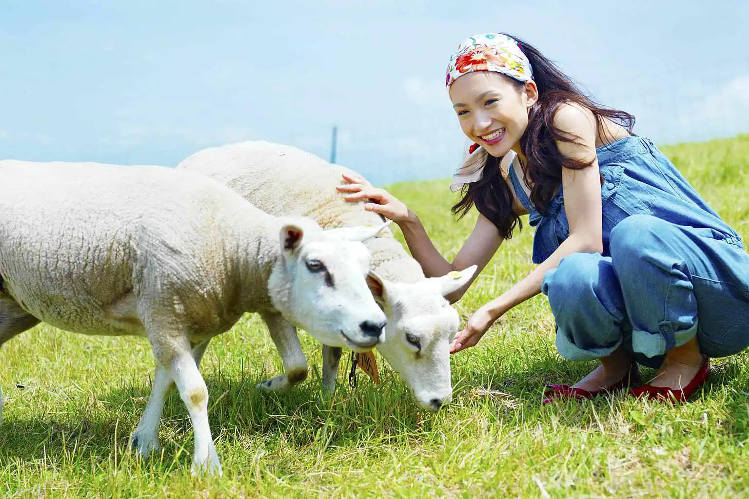 Rusutsu By Rusutsu Resort Other Activities 29