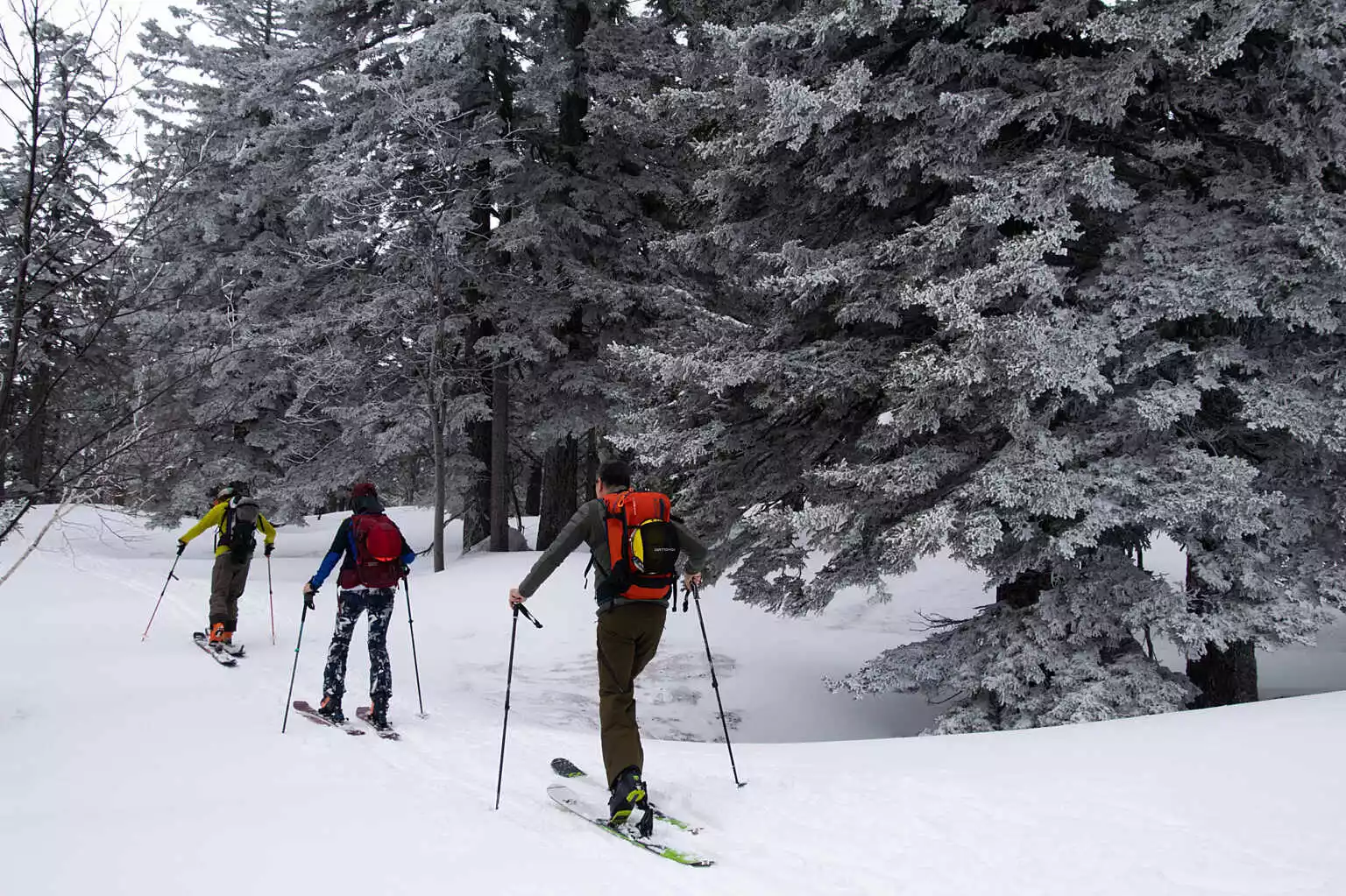 FXW Summit Ski School Guiding 13