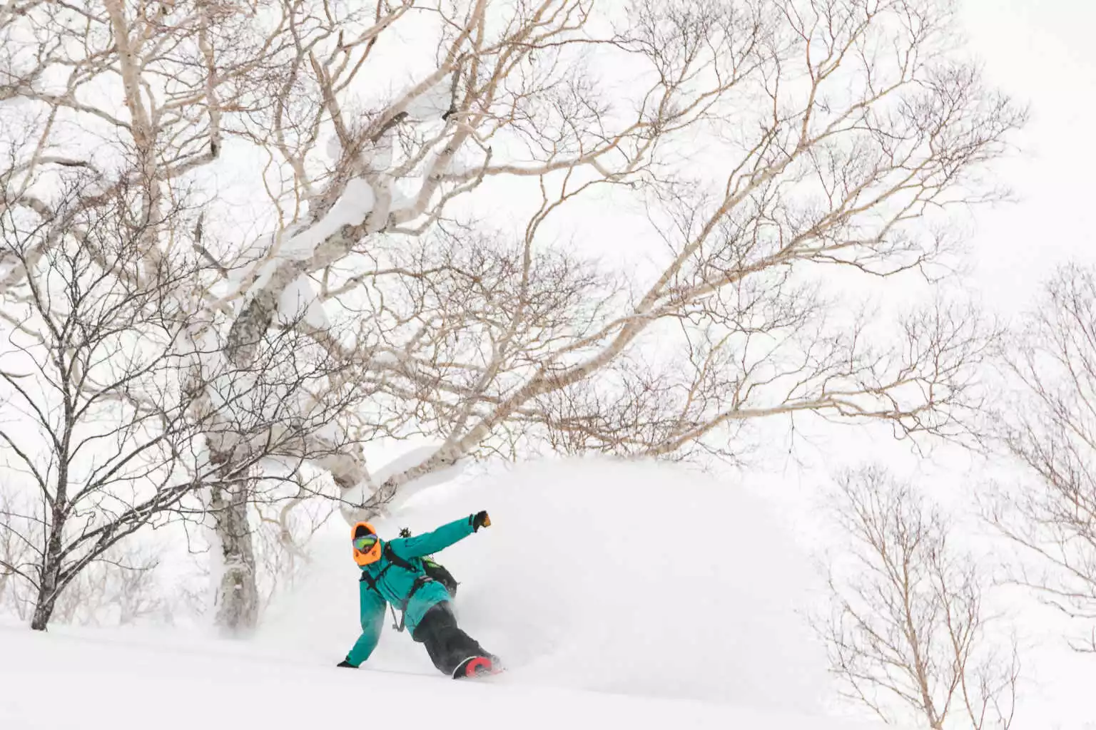 Ski Snowboard By Niseko Photography 3