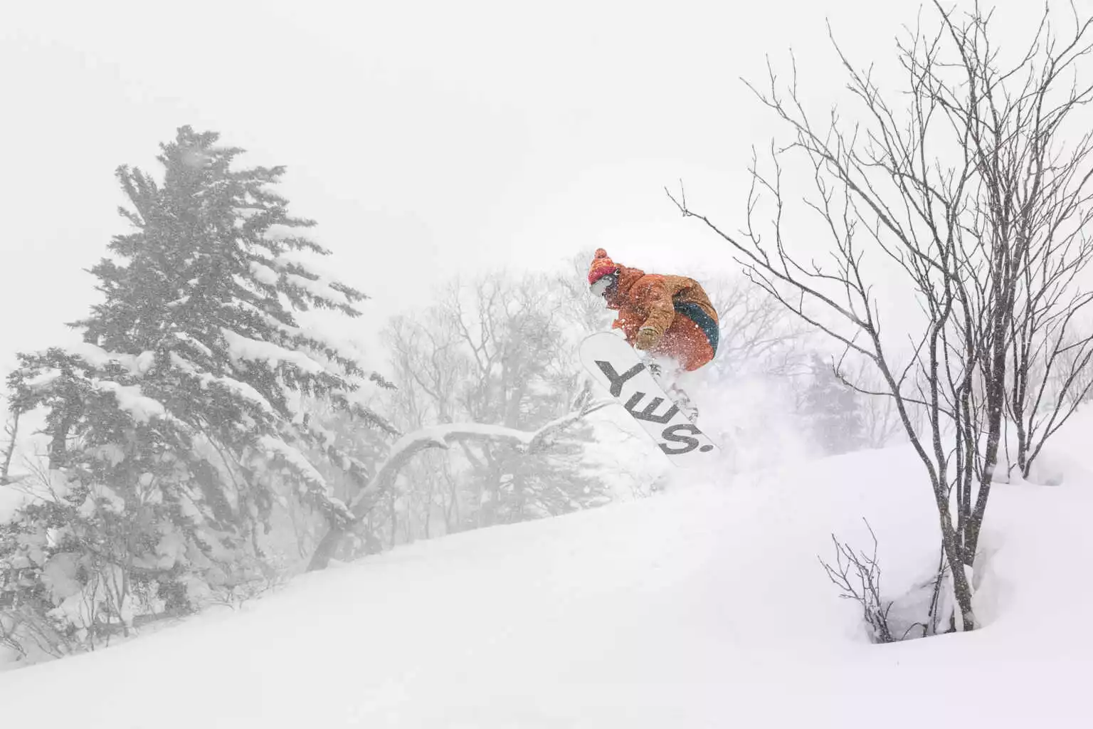 Ski Snowboard By Niseko Photography 4