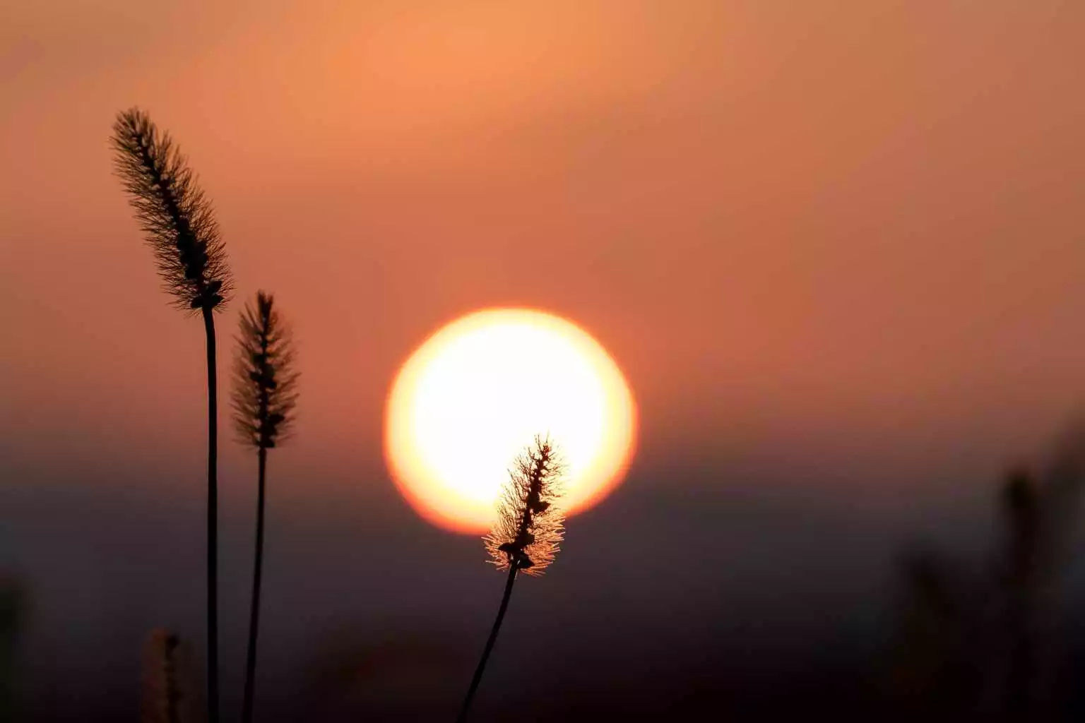 View By Niseko Photography 5