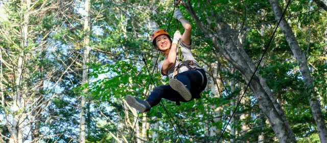 Tree trekking image6 jpg