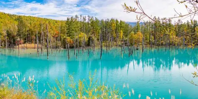 Furano Shutter Stock View 5