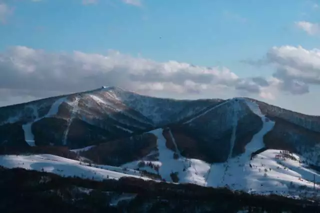 10 TLN Finals 250215 RR 5461 1