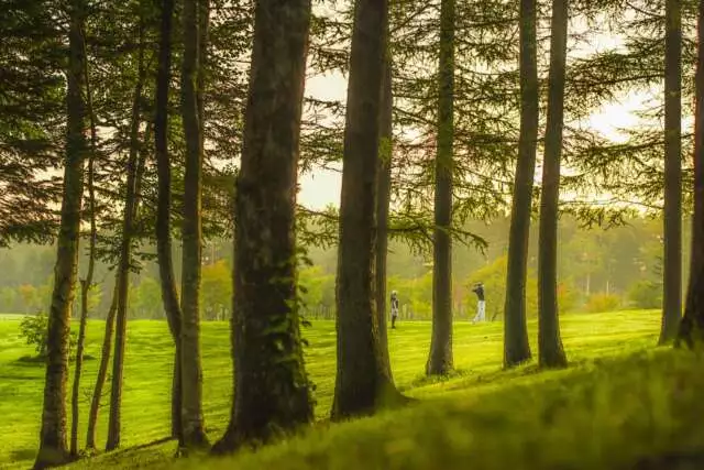 Guest Services Golf 4