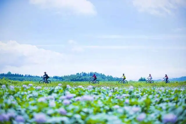 Rusutsu By Rusutsu Resort Other Activities 26