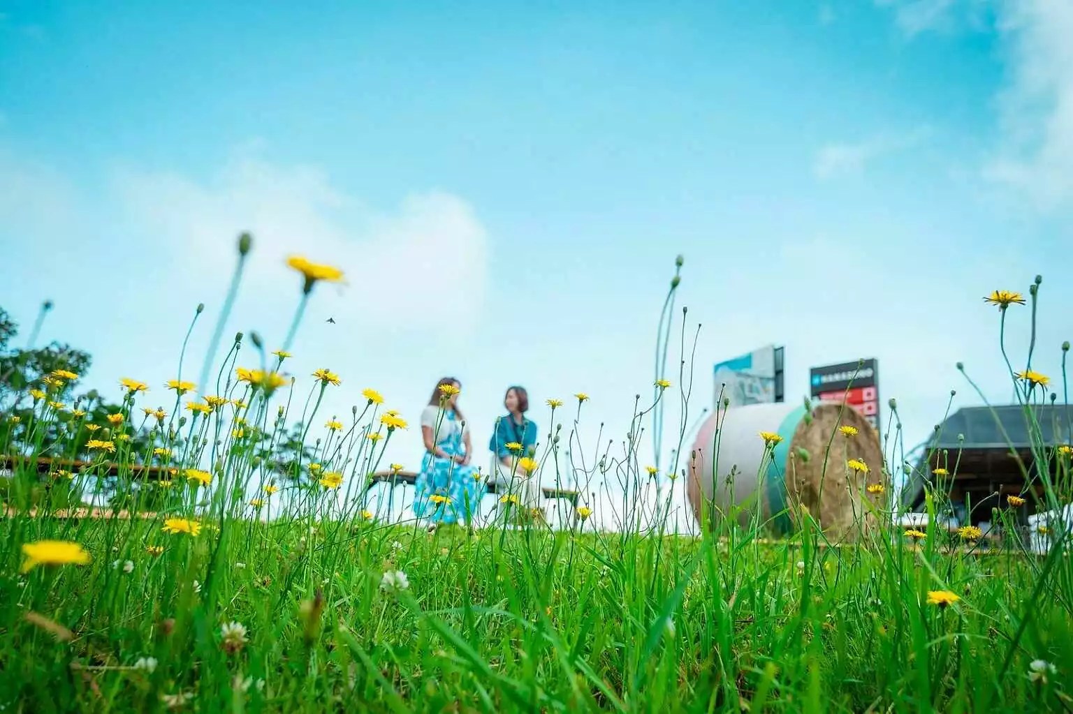 Hanazono Summer Gondola