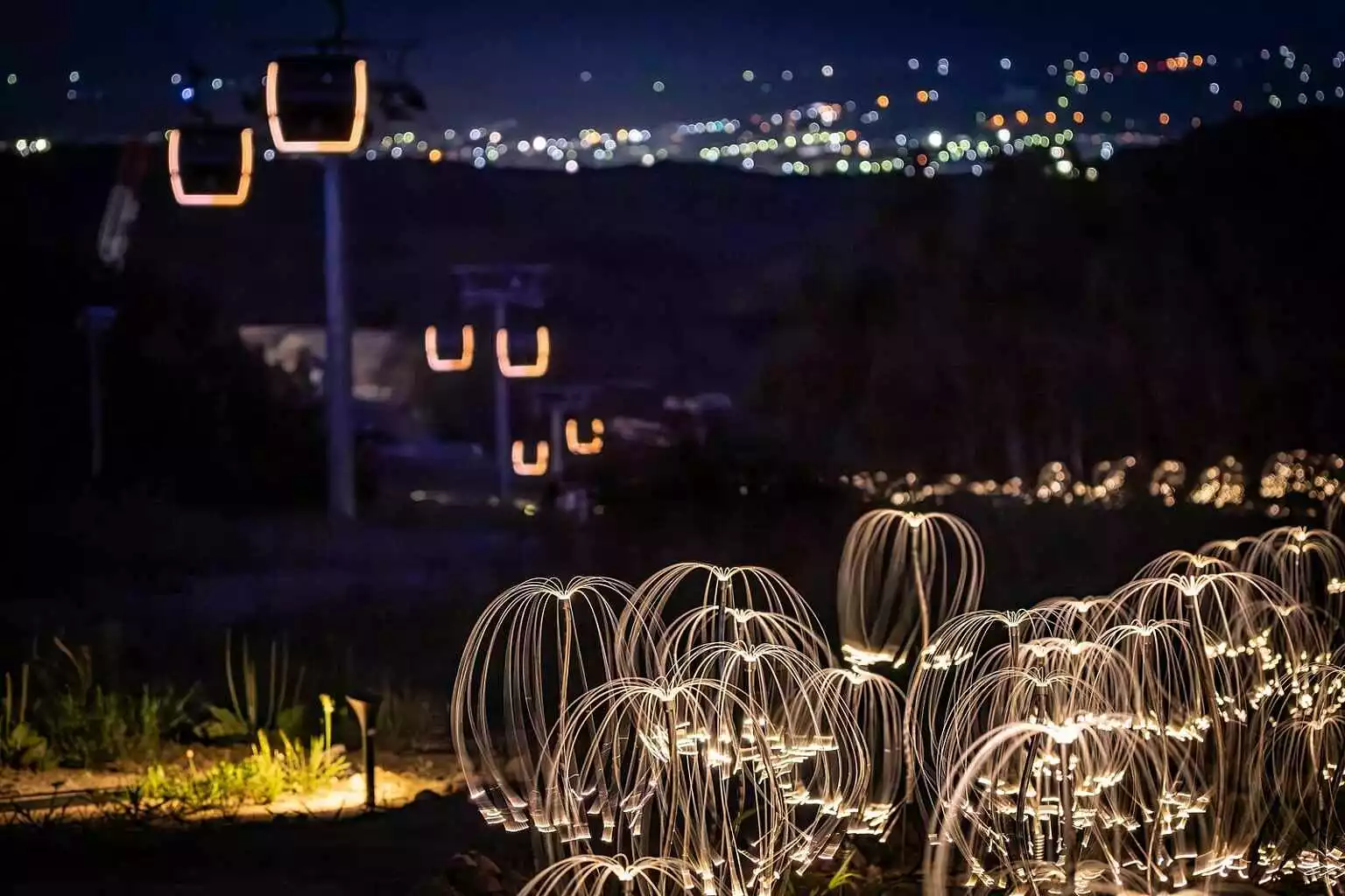 Hanazono Mountain Lights 4