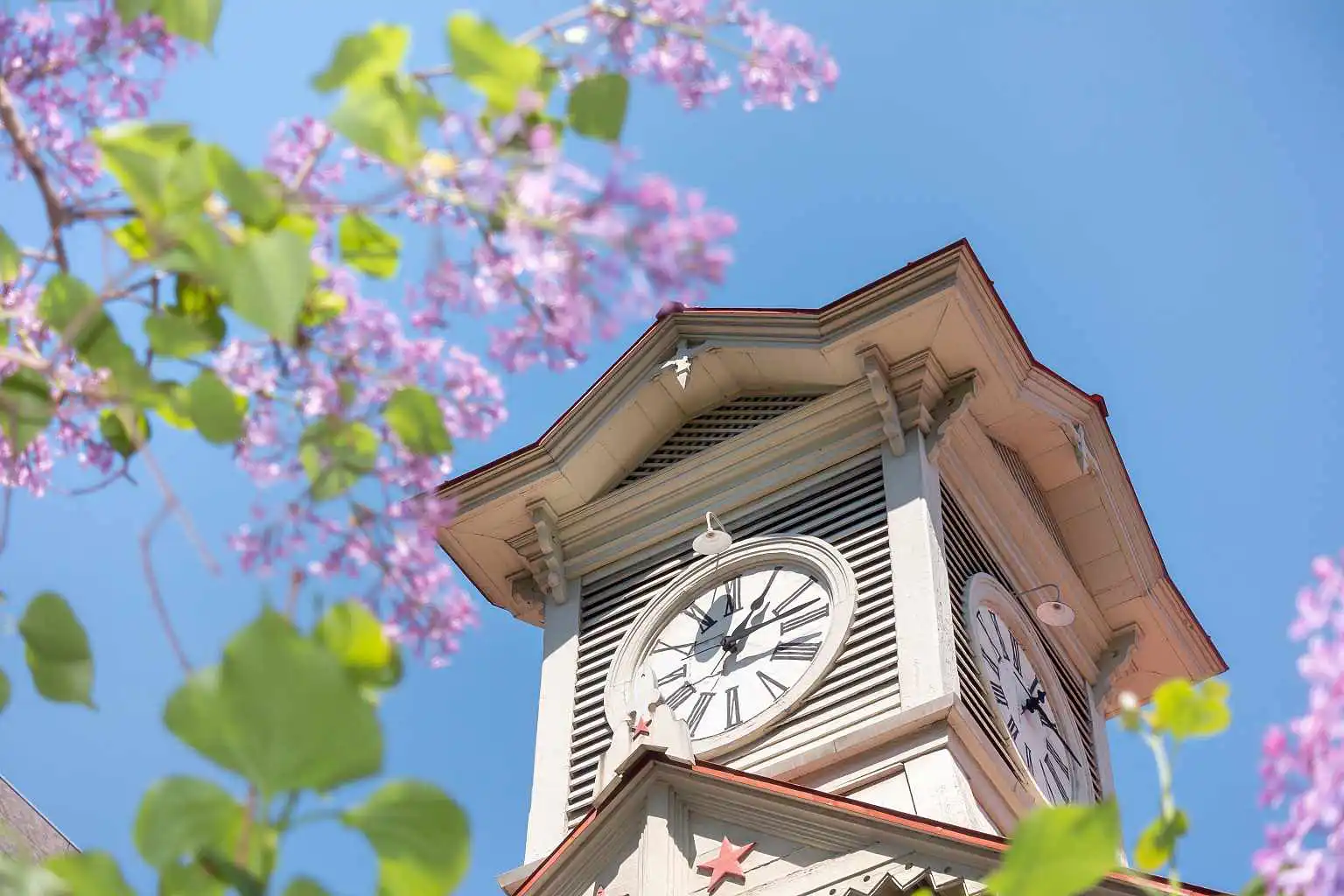 Guest Services Day Tours Sapporo 2