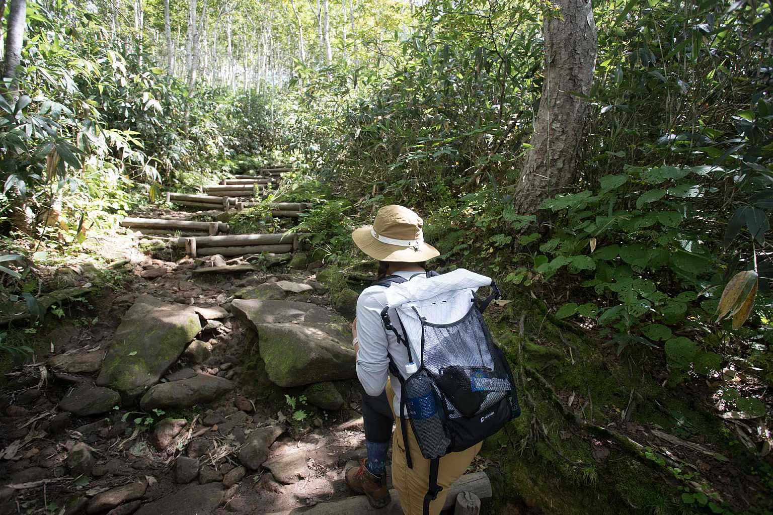 Guest Services Hiking 2