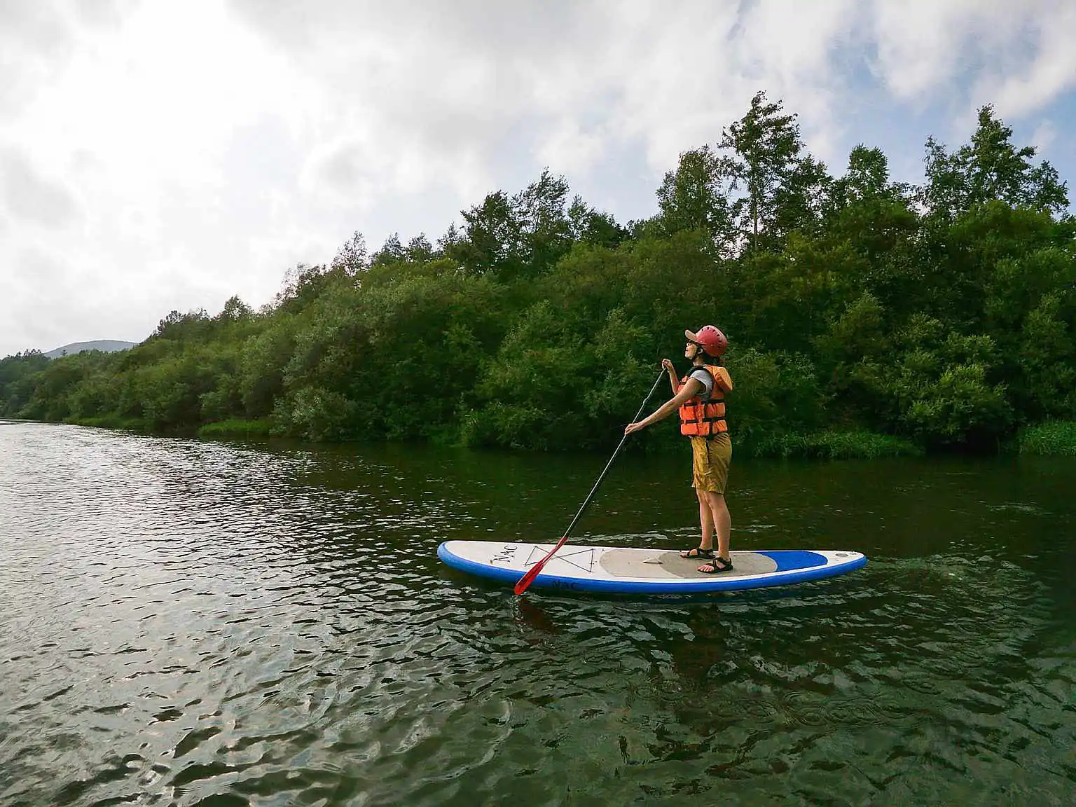 Guest Services SUP 1