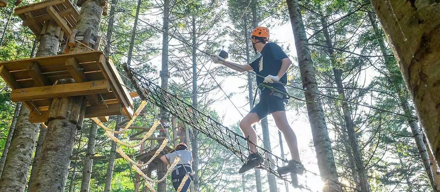 Hanazono Tree Trekking 1
