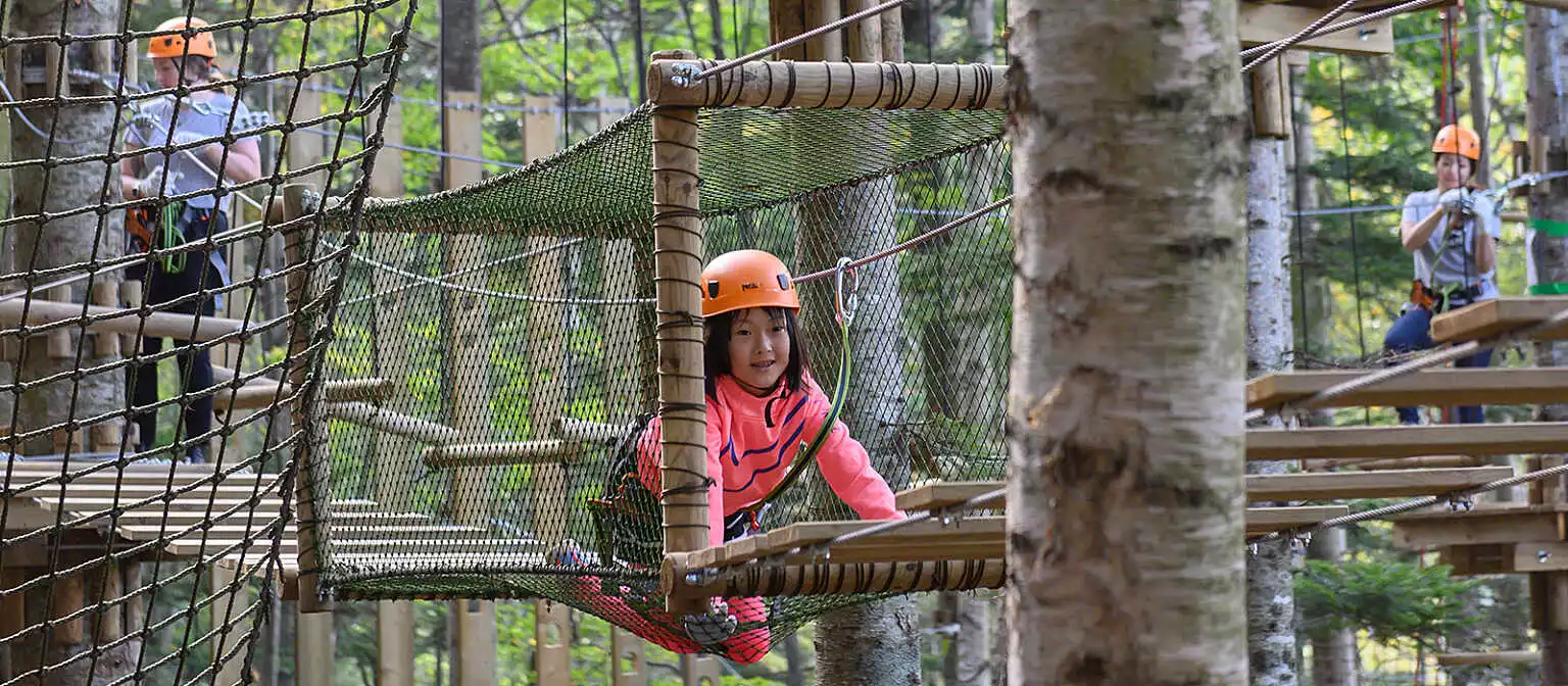 Hanazono Tree Trekking 2