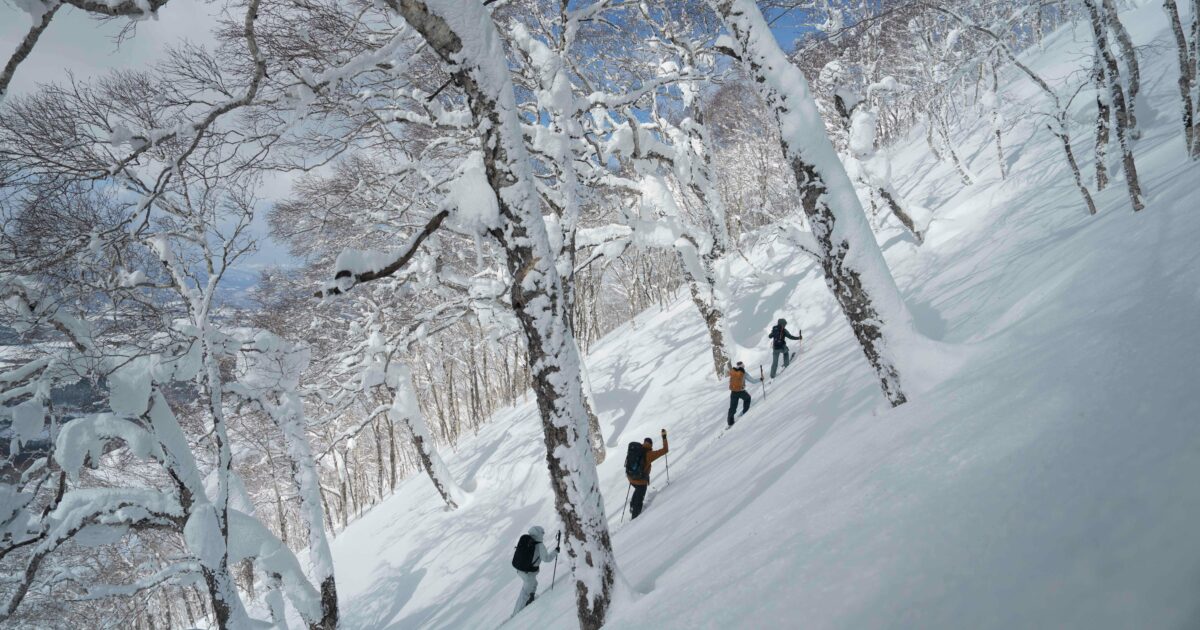 ライジングサンガイドと行く、ニセコの雪崩講習 | ニセード