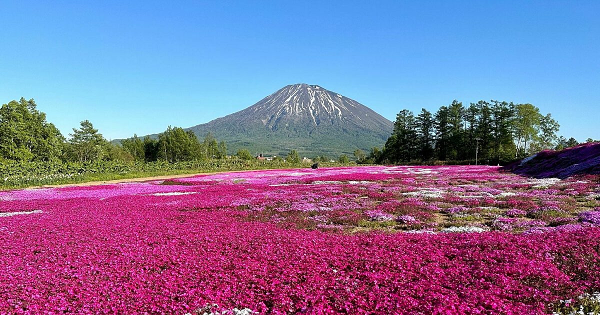 知っておきたい！羊蹄山の映えフォトスポット5選 | ニセード