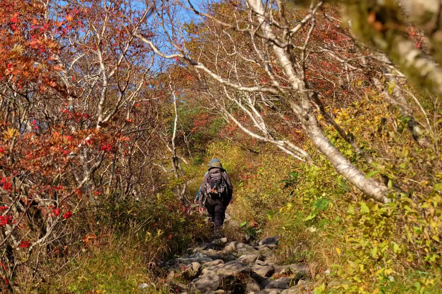 Mt Annupuri Hiking Autumn 2