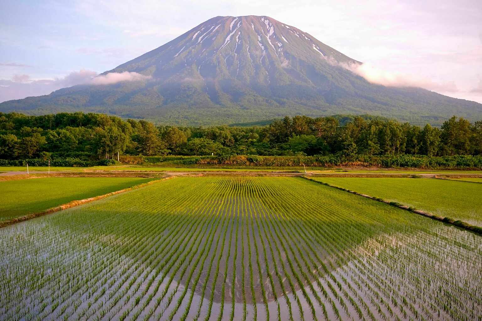 Kutchan Rice Filed Mt Yotei Reflection in Water Spring Credit Pimsiri K