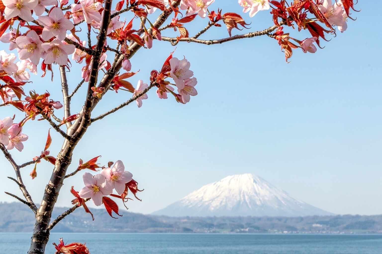 Toya By Niseko Photography View 1