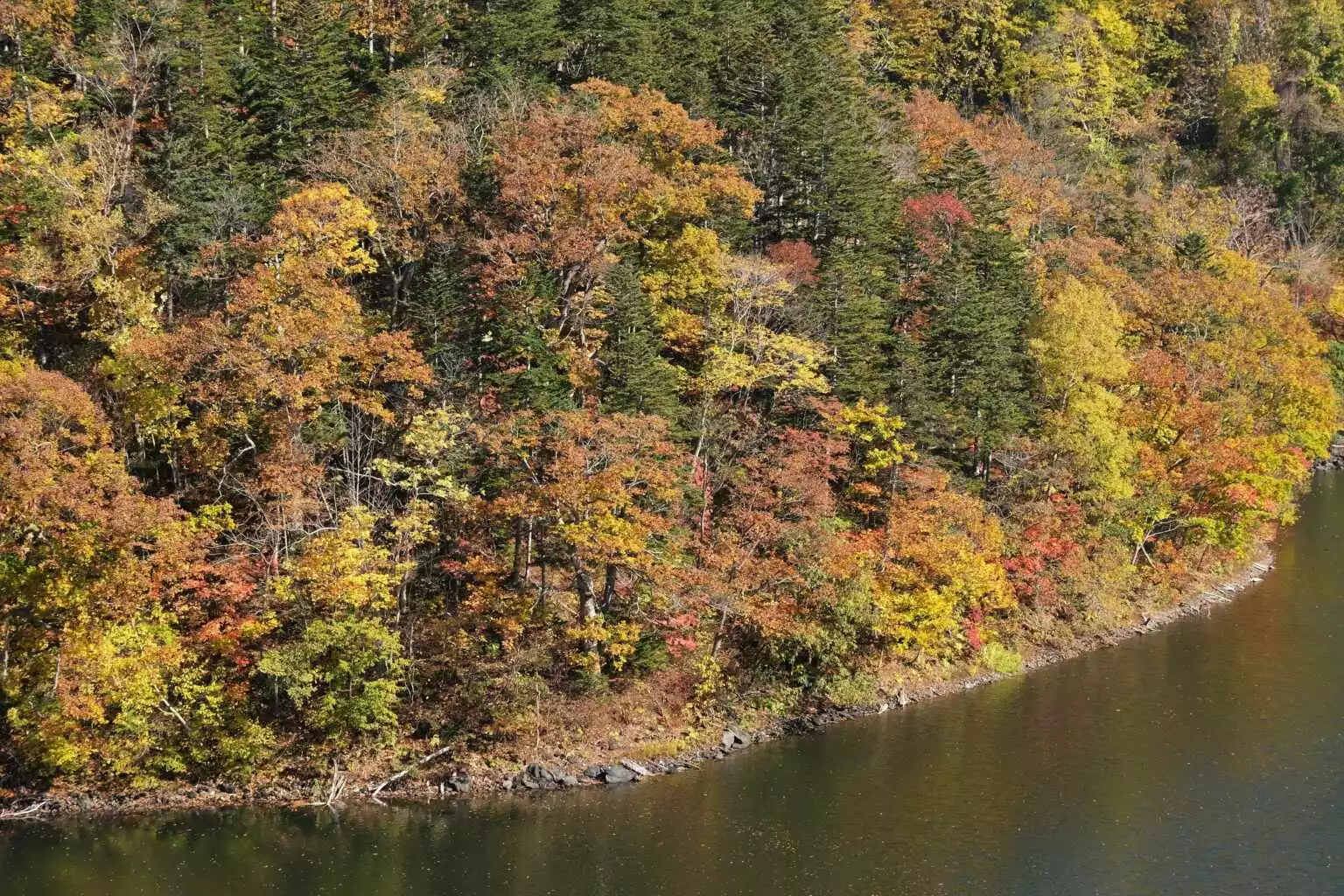Hangetsu Lake Autumn 1