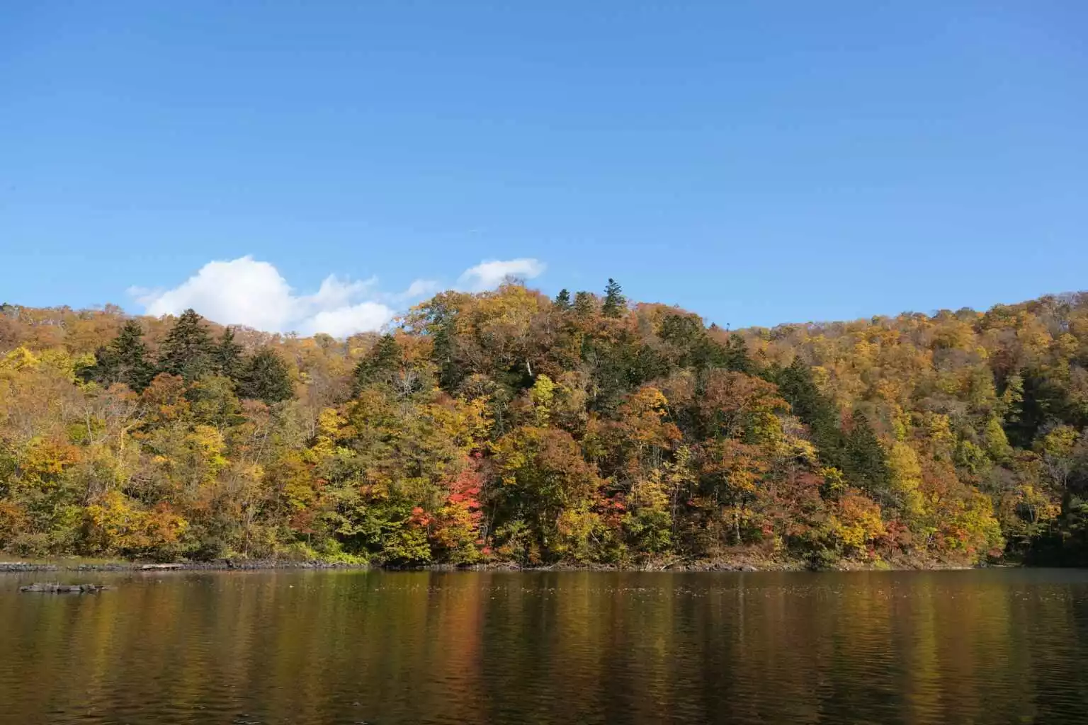 Hangetsu Lake Autumn 2