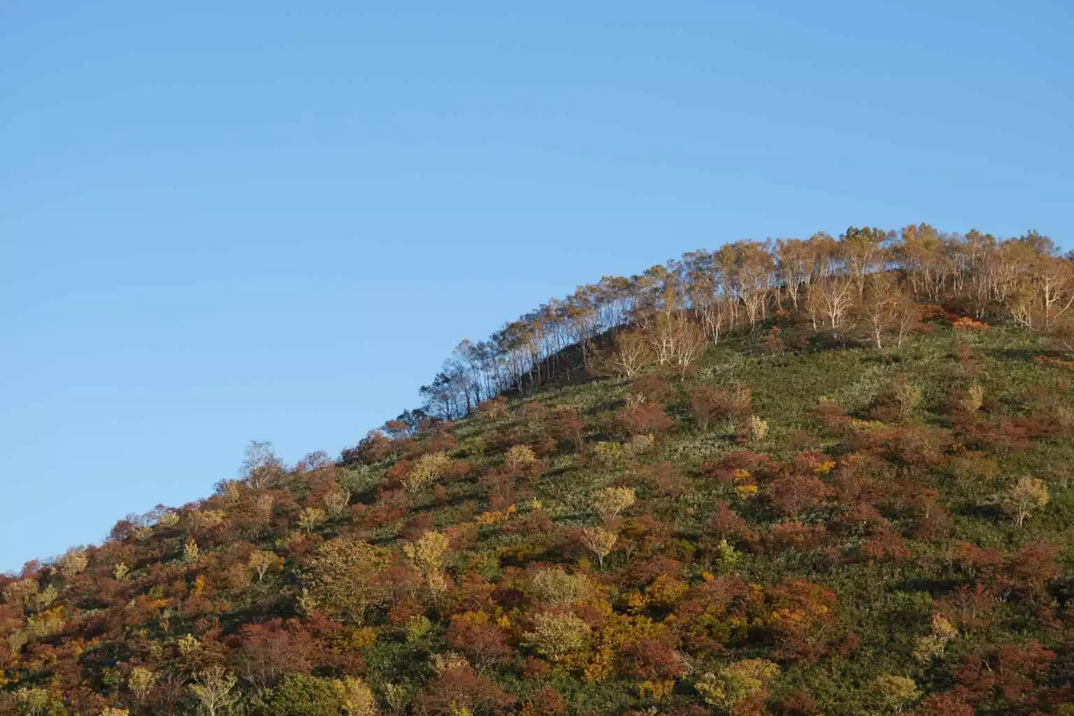 Niseko Panorama Line Autumn 2