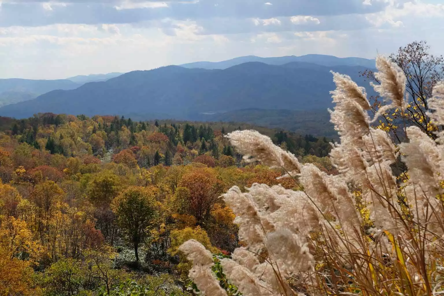 Niseko Panorama Line Autumn 3