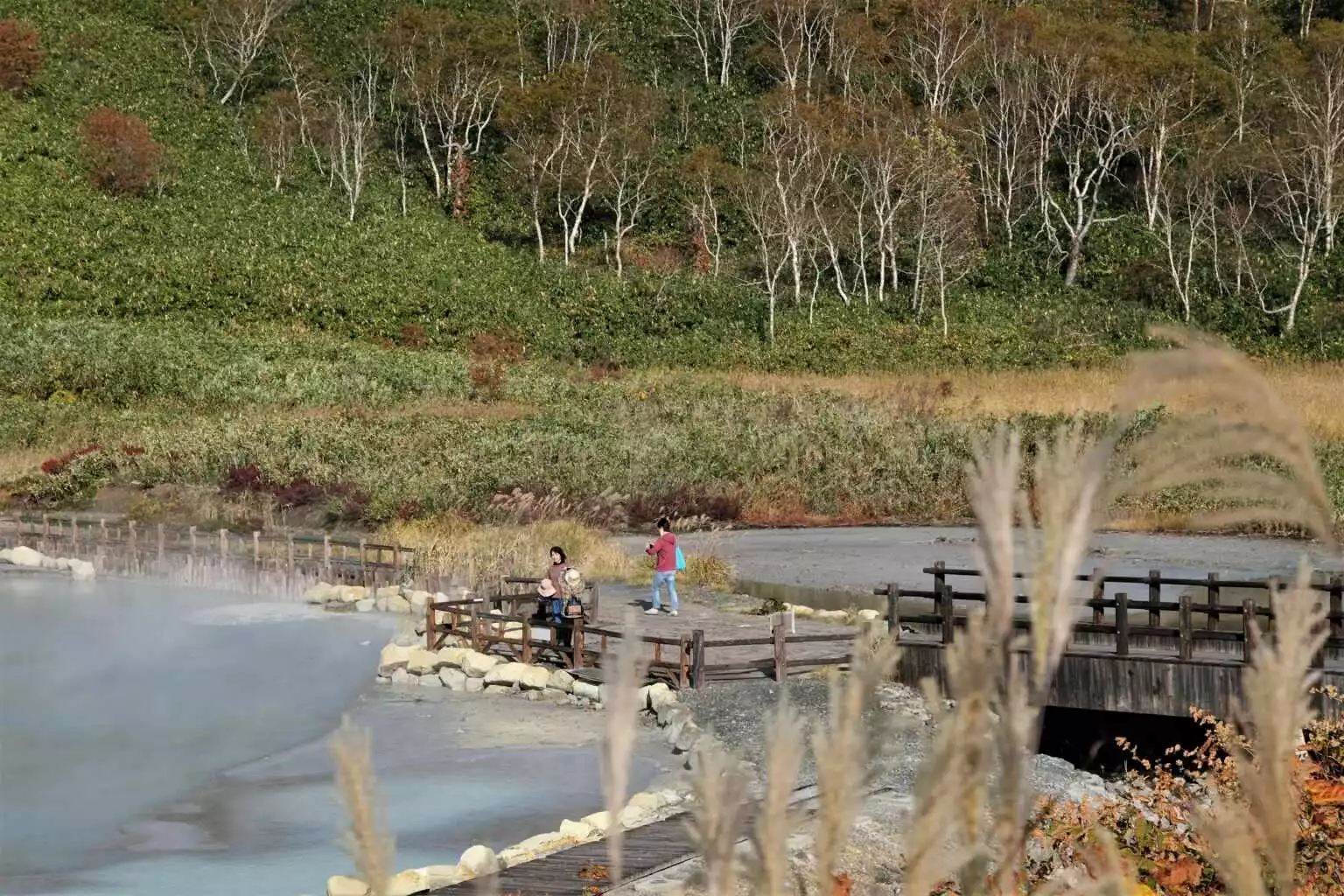 Niseko Oyunuma Pond Autumn 4