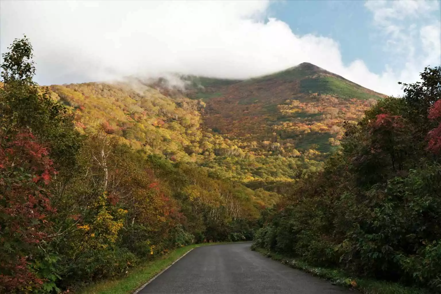 Mt Annupuri from Route 58 Autumn