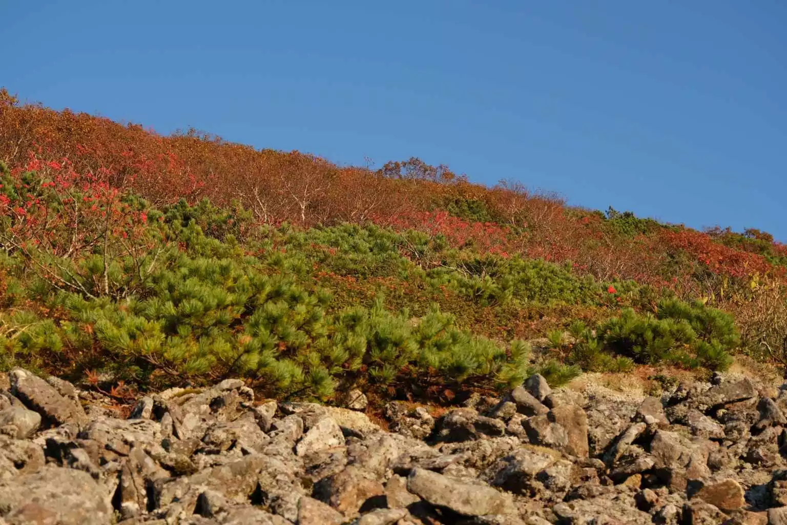 Mt Annupuri Hiking Autumn 4