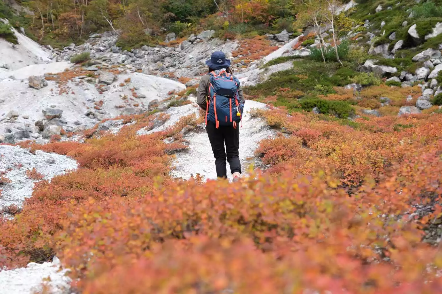 Iwaonupuri Trailhead Autumn 1