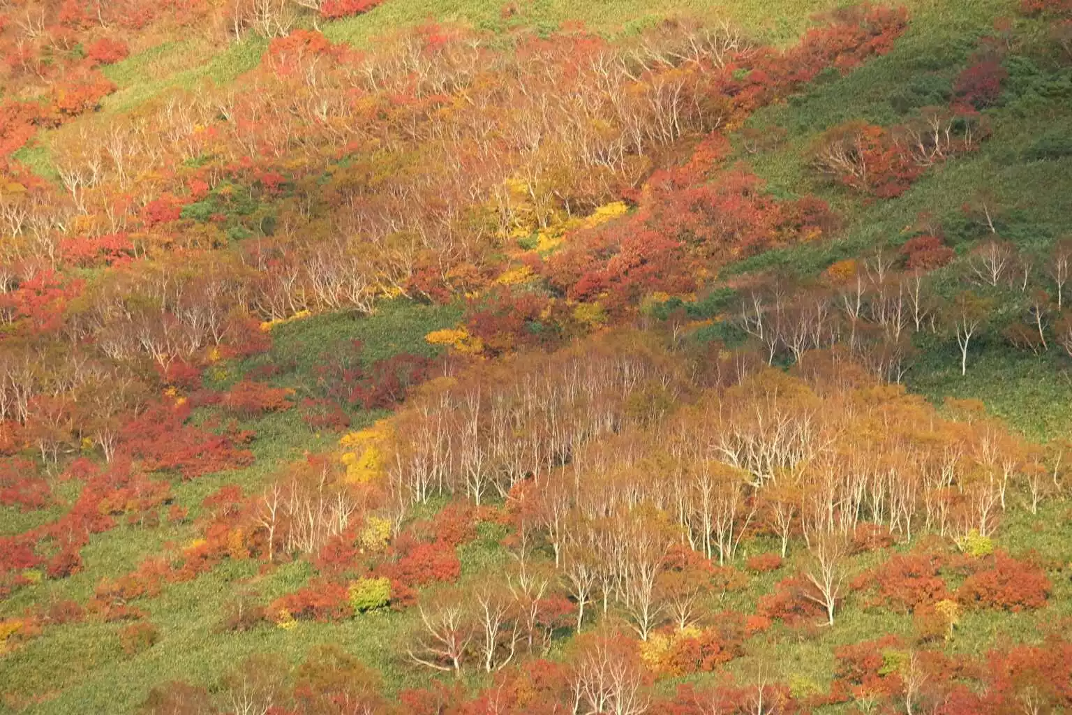 Iwaonupuri Trailhead Autumn 4